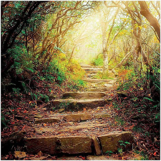 Carte de Voeux The road ahead | Pieralune