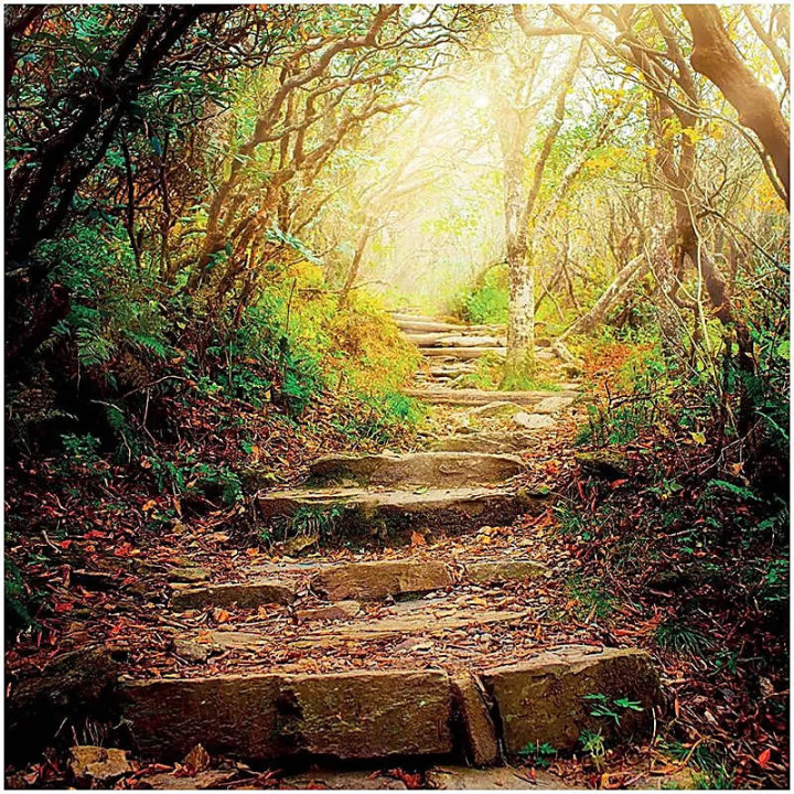 Carte de Voeux The road ahead | Pieralune