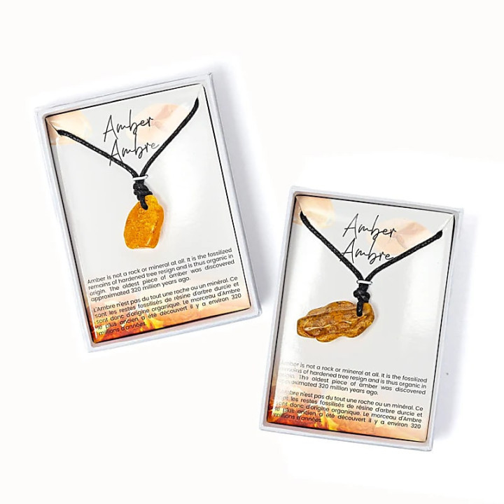 Pendentifs en ambre 12 pièces dans une boîte présentoir | Pieralune
