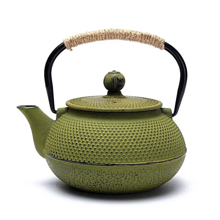 Théière émaillée Tetsukyusu 0,6 litre verte | Pieralune
