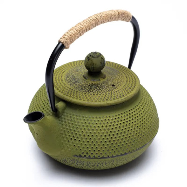 Théière émaillée Tetsukyusu 0,6 litre verte | Pieralune