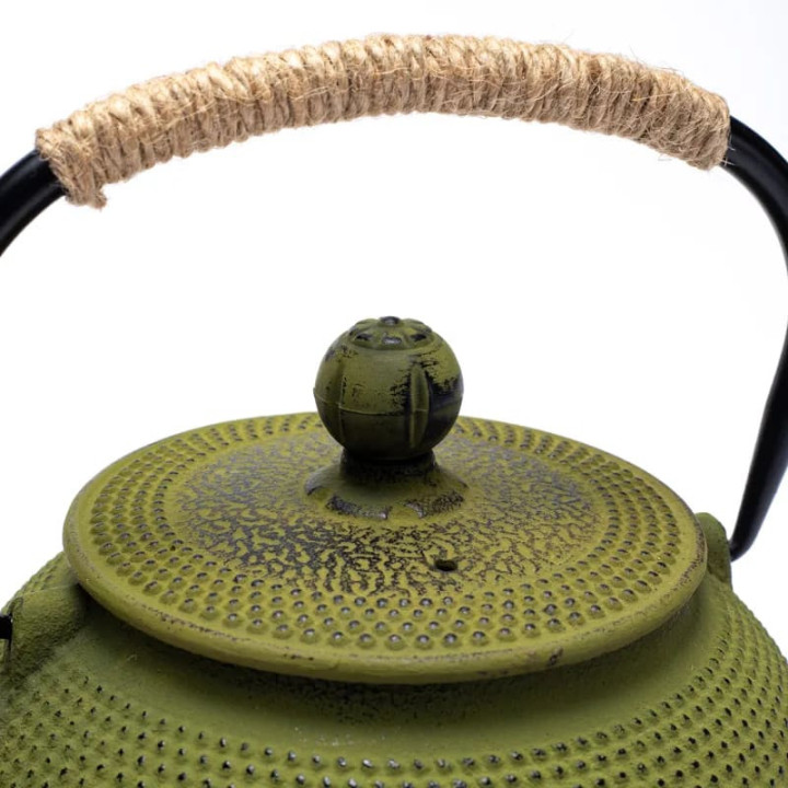 Théière émaillée Tetsukyusu 0,6 litre verte | Pieralune