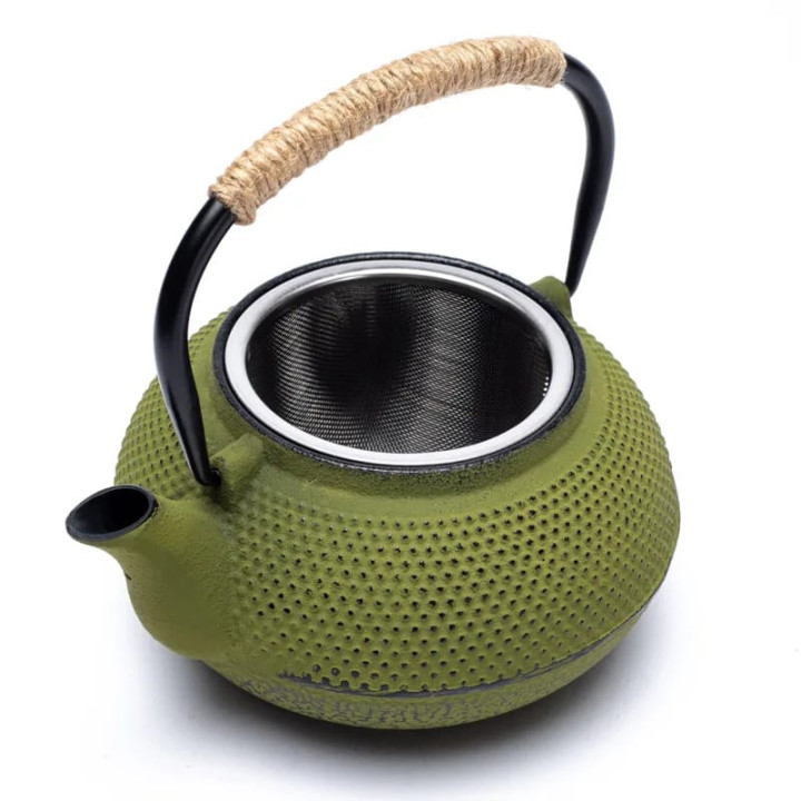 Théière émaillée Tetsukyusu 0,6 litre verte | Pieralune