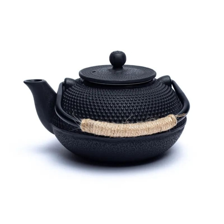 Théière Tetsukyusu émaillée 0,6 litre noir | Pieralune