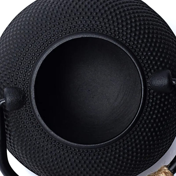 Théière en fonte Tetsubin 0,6 litre noire (sans revêtem... | Pieralune