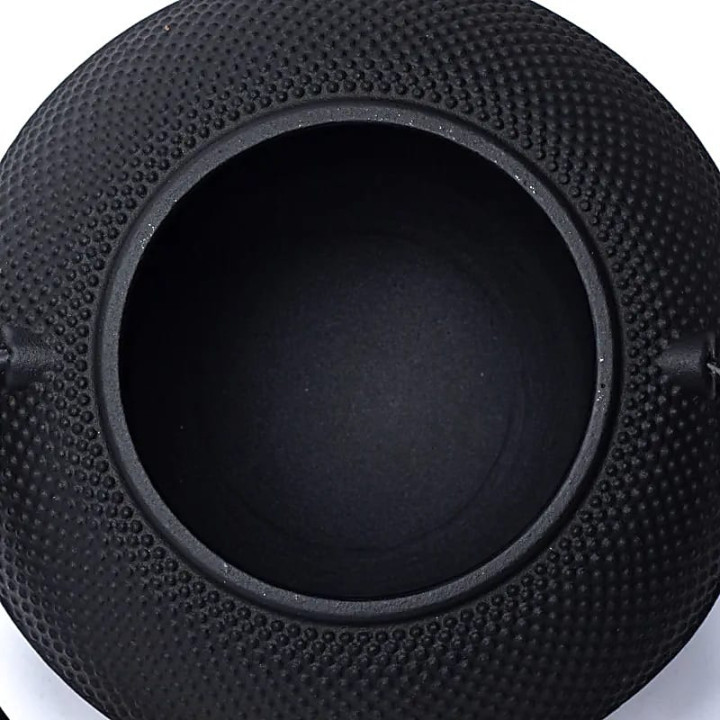Théière Tetsubin en fonte 1,2 litre noire (sans revêtem... | Pieralune