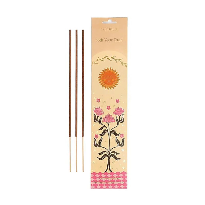 Carnatia Magic Within You encens Seek your Truth | Pieralune