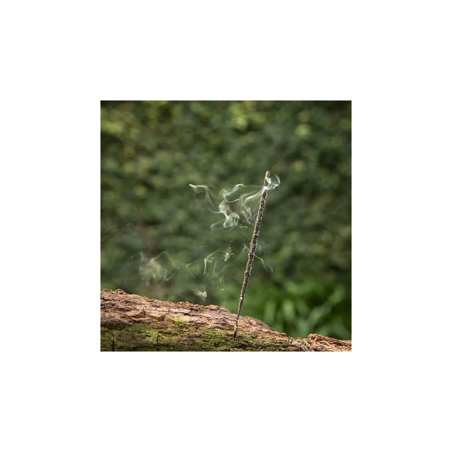 Sagrada Madre Encens Naturel Encens | Pieralune