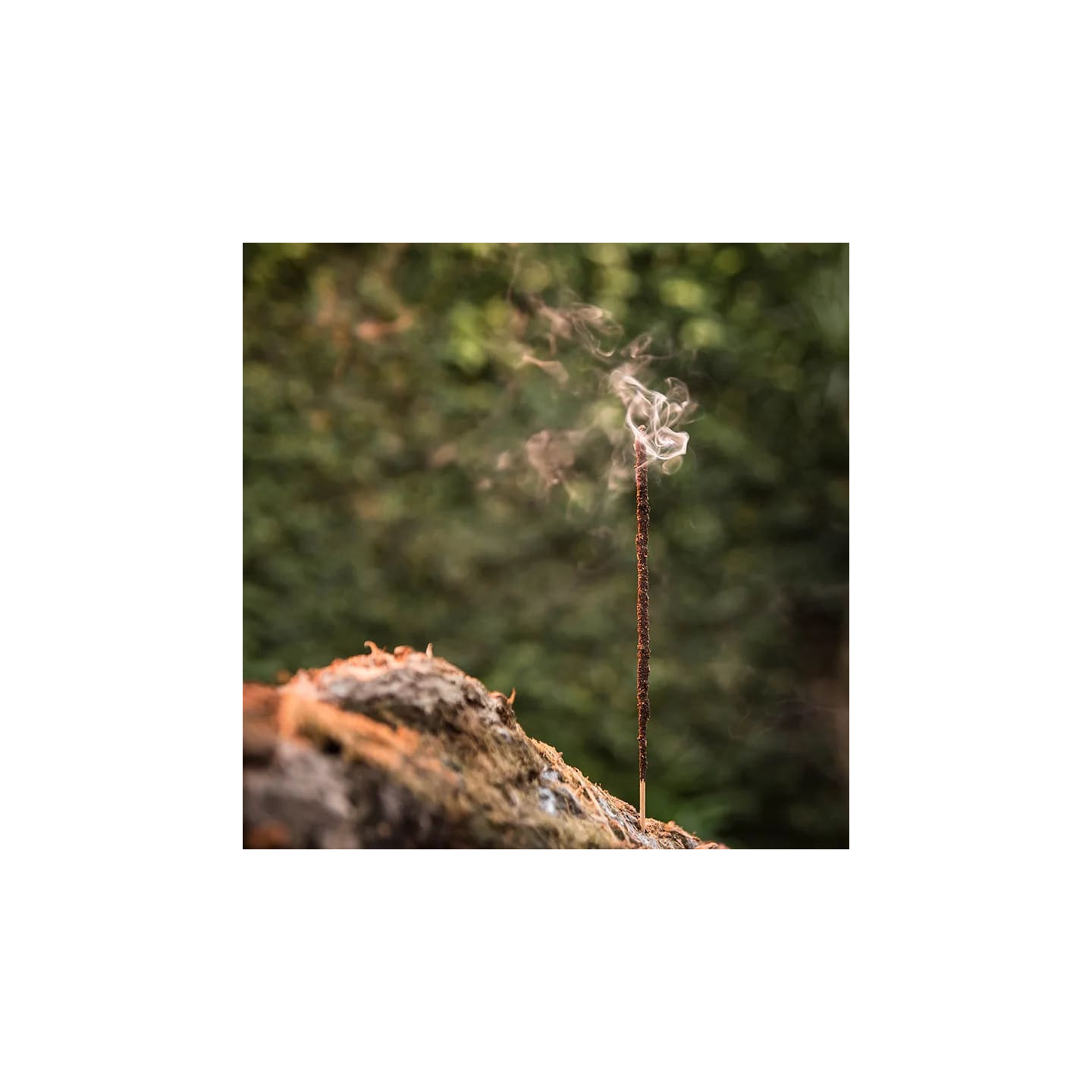 Sagrada Madre Encens Myrrhe Naturel | Pieralune