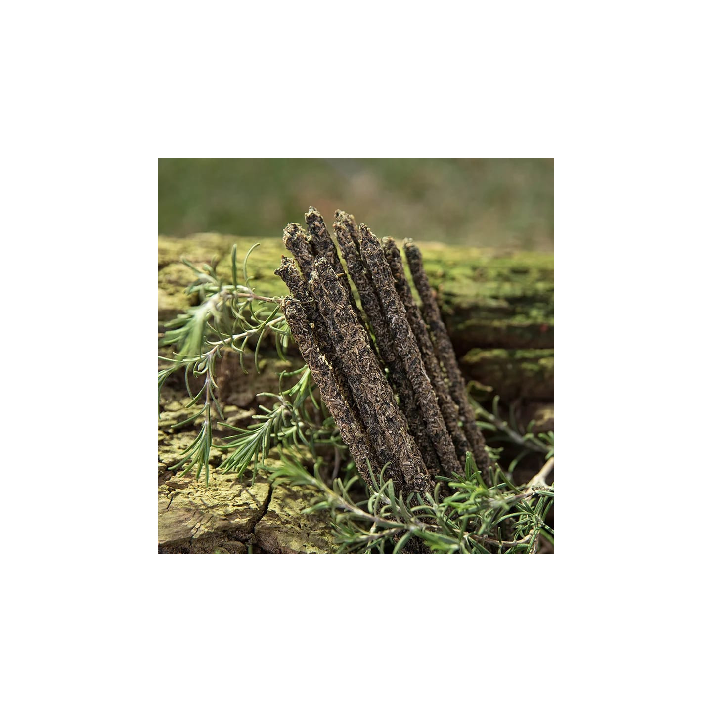 Sagrada Madre Encens naturel Rue, Romarin et Encens | Pieralune