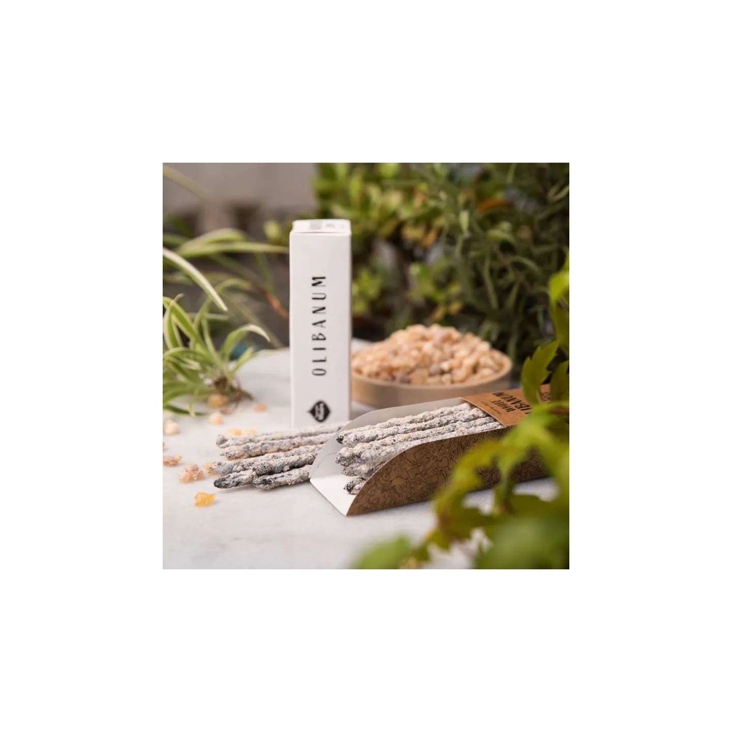 Sagrada Madre Encens aux herbes Oliban Blanc | Pieralune