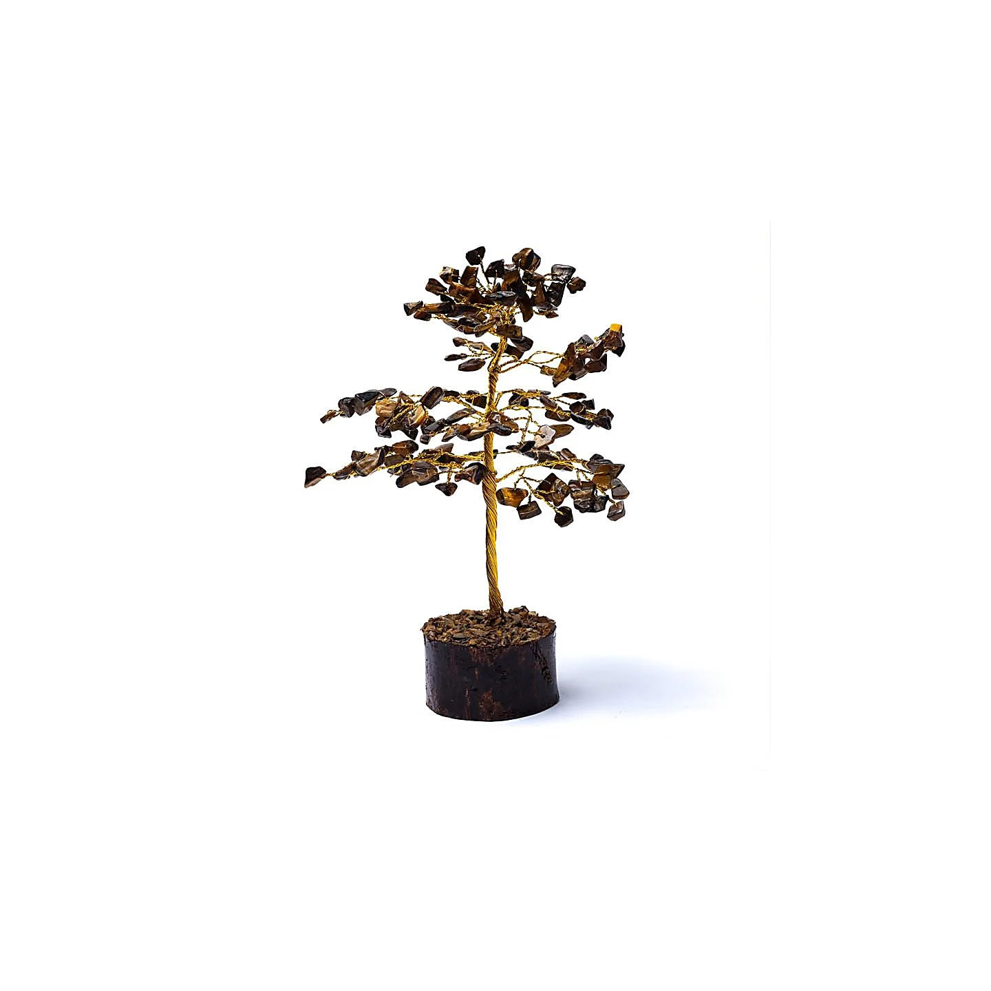 Arbre Oeil du Tigre | Pieralune