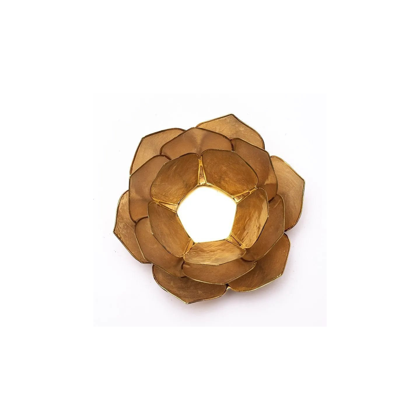 Lumière d'ambiance pétale Lotus fumé/beige bordure or | Pieralune