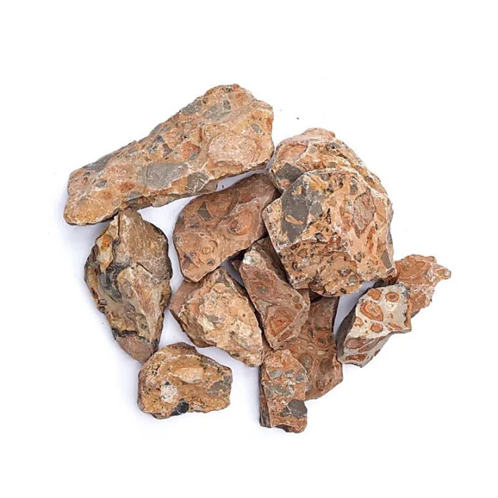 Léopardite brute | Pieralune