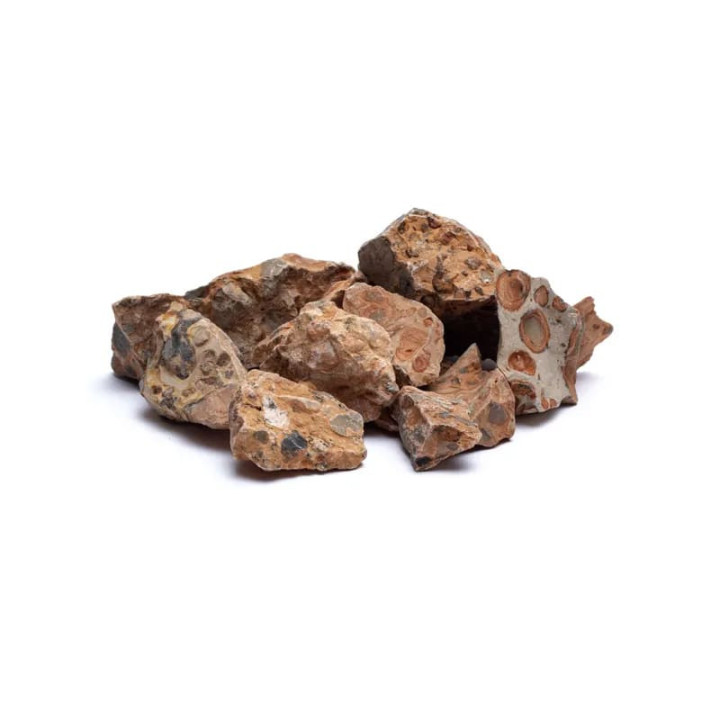 Léopardite brute | Pieralune