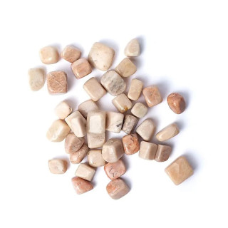 Pierre de Lune pierres polies qualité A | Pieralune