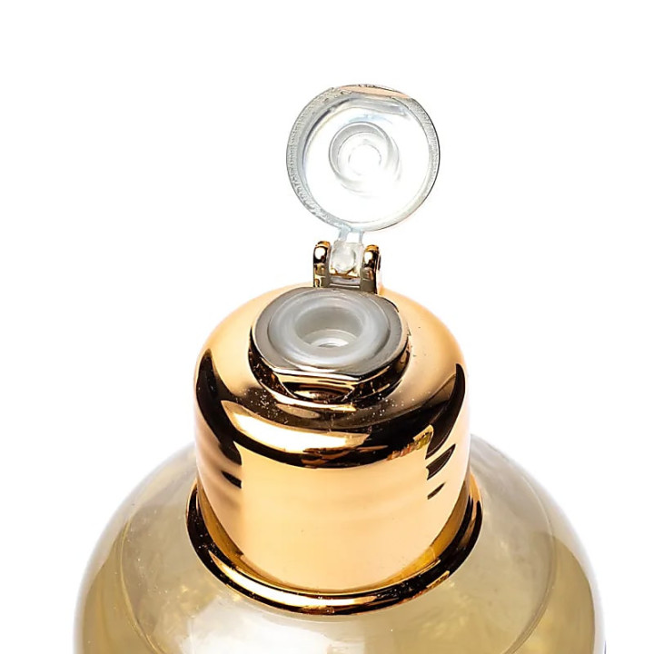 Shampoing antioxydant pour cheveux abîmés | Pieralune