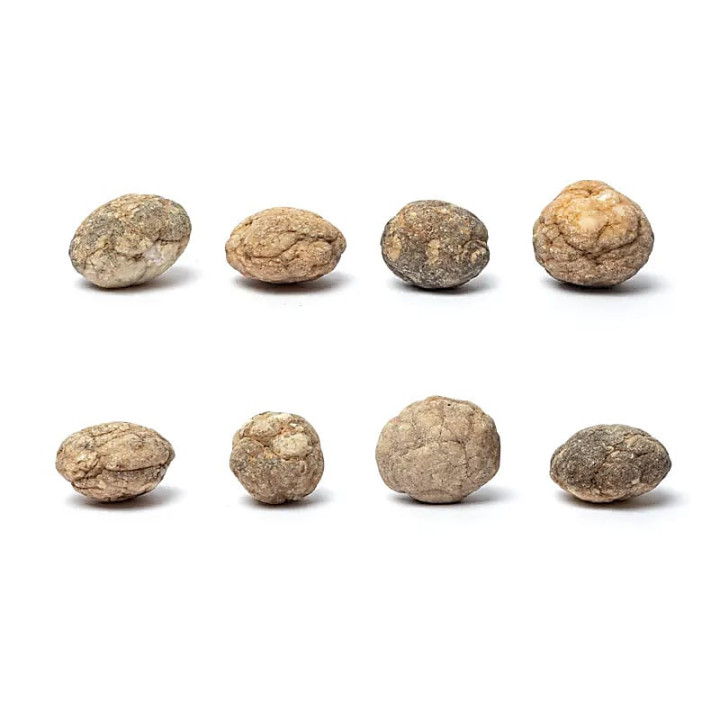 Géode de calcite (intacte) 10-12 pcs | Pieralune