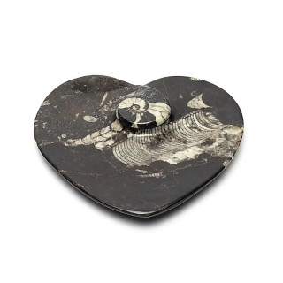 Plaque en marbre en forme de cœur avec fossiles | Pieralune
