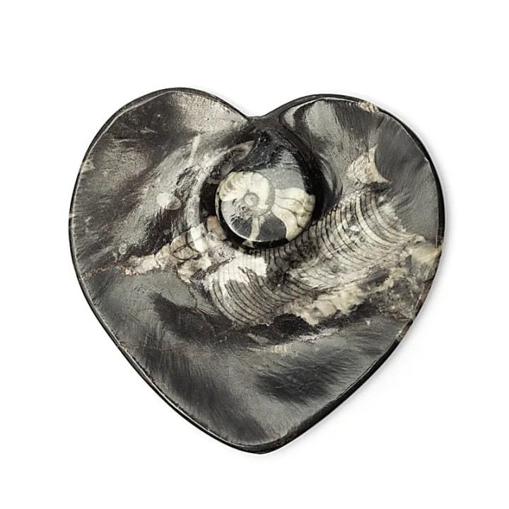 Plaque en marbre en forme de cœur avec fossiles | Pieralune